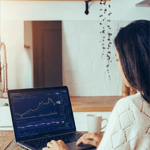 Nala arbetar vid datorn